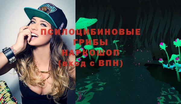 спиды Алзамай