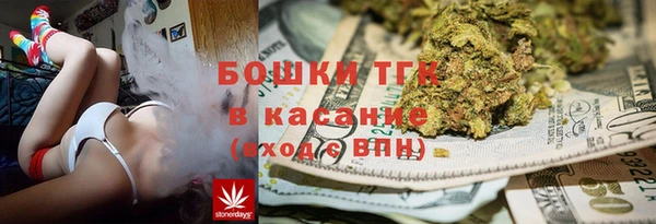 индика Абдулино