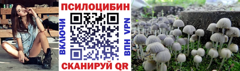 купить наркотики сайты Чкаловск blacksprut ссылка Галлюциногенные грибы мухоморы